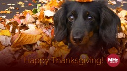 happy thanksgiving kessler promo 1920x1080