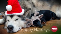 happy holidays henry kessler promo 1920x1080