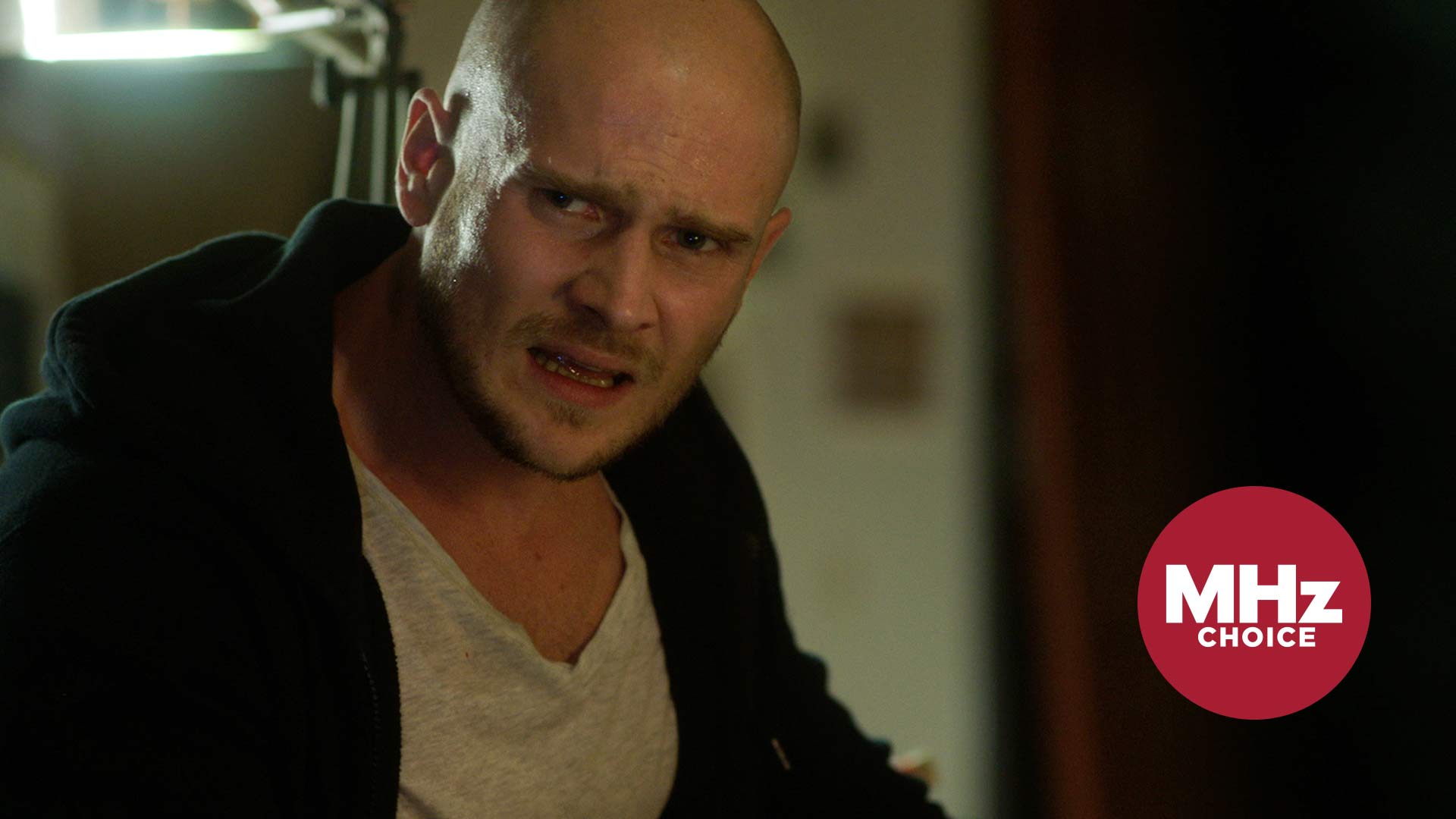 First Look The Art of Crime (Season 1)