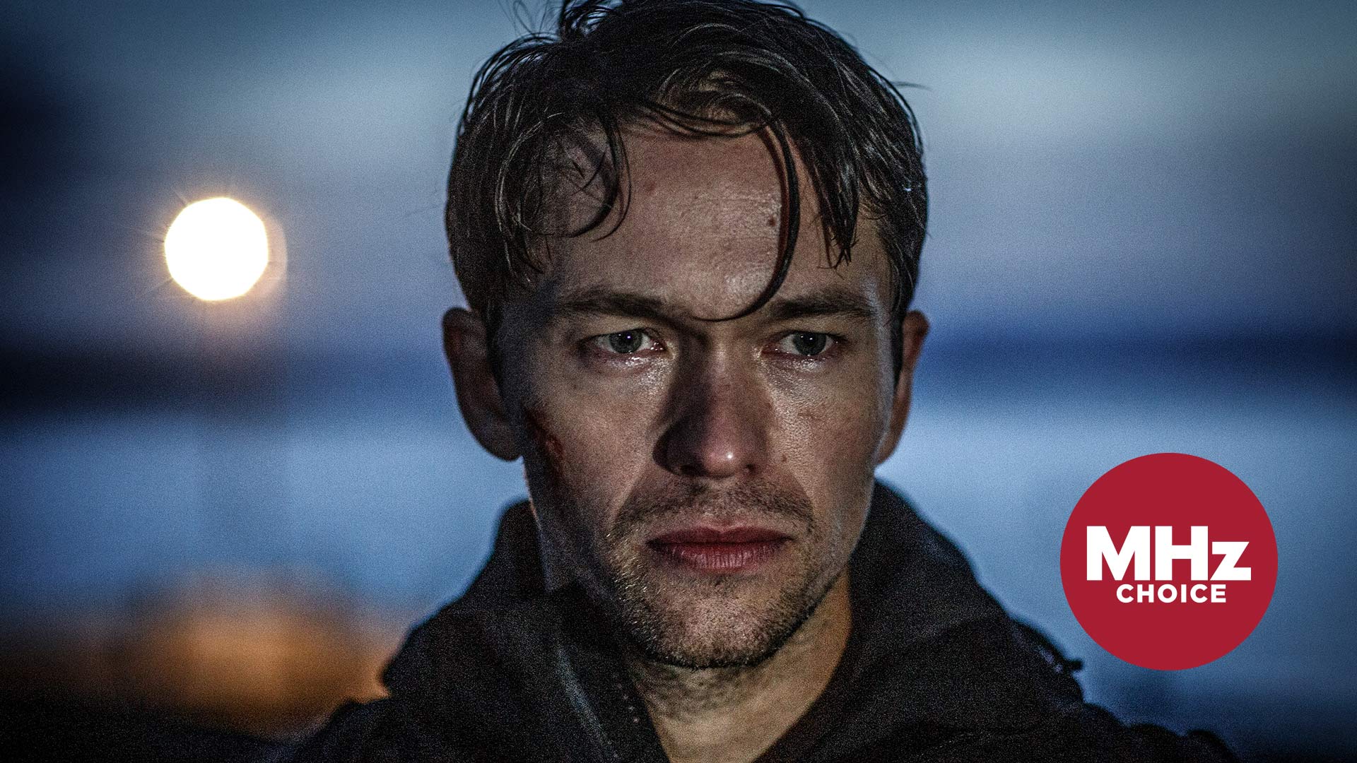 What to watch after Season 1 of 'Agent Hamilton'