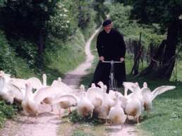 don matteo retrospective 9 promo 9 1920x1080 2