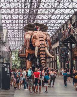 PAYS DE LA LOIRE mechanical elephant in nantes