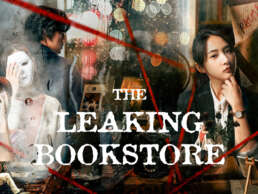 THE LEAKING BOOKSTORE PLACEHOLDER 4x3