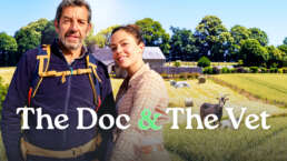 DOCVET C 00000T