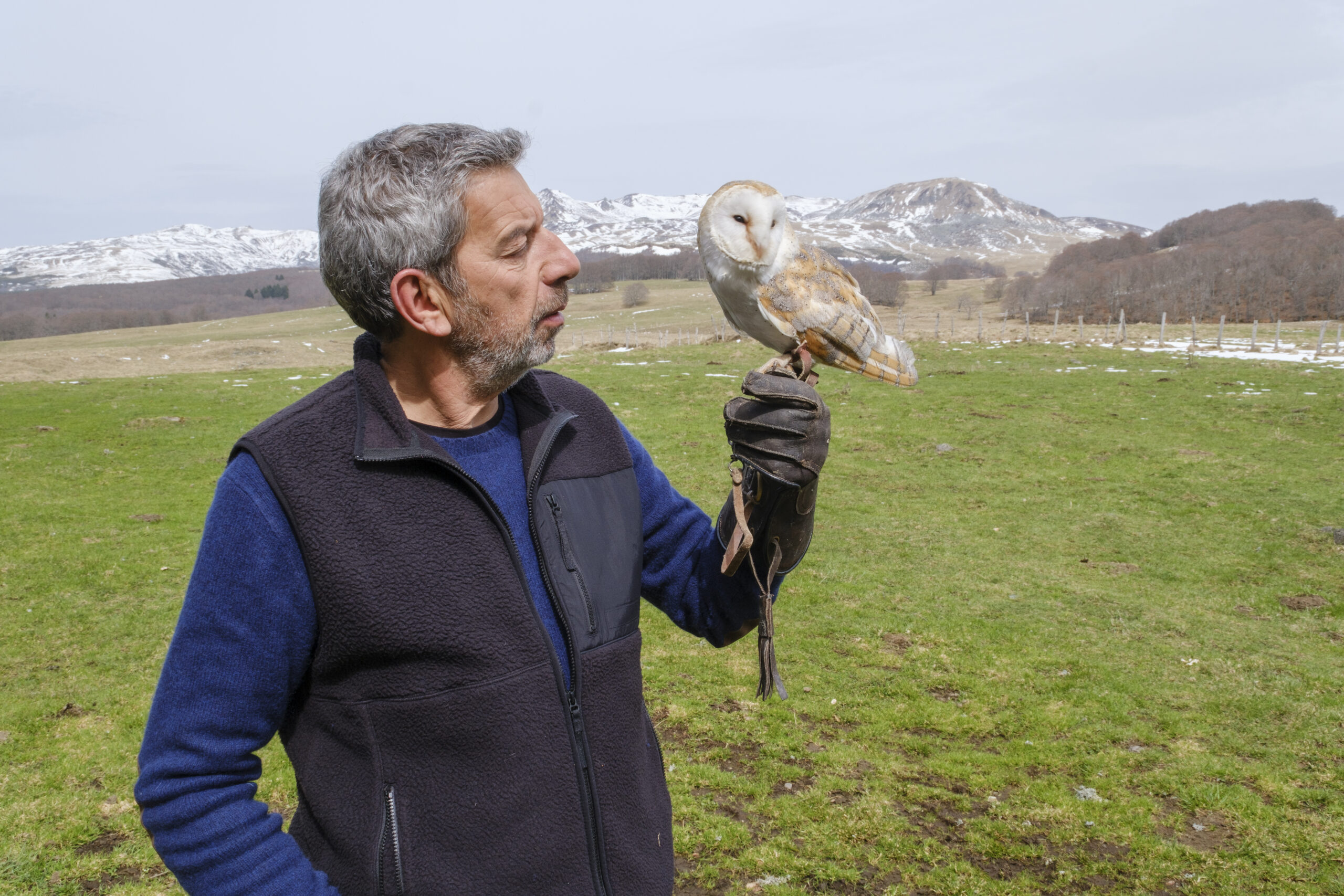 LA DOC ET LE VETO EP 05 En Chiens de Faience 153