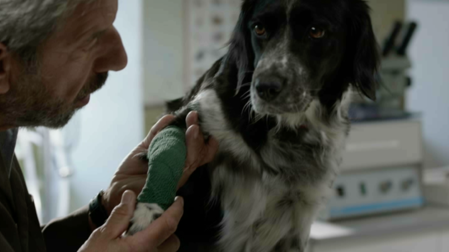 Screen Shot 2025 03 03 at 4.34.22 PM