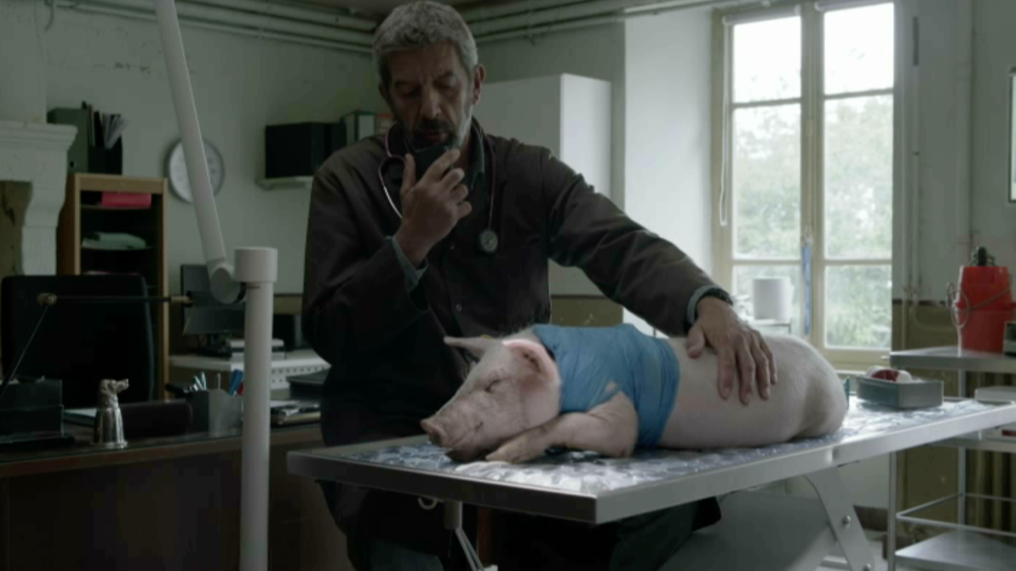 Screen Shot 2025 03 03 at 4.35.48 PM