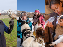 The Cutest Animal Moments from THE DOC AND THE VET