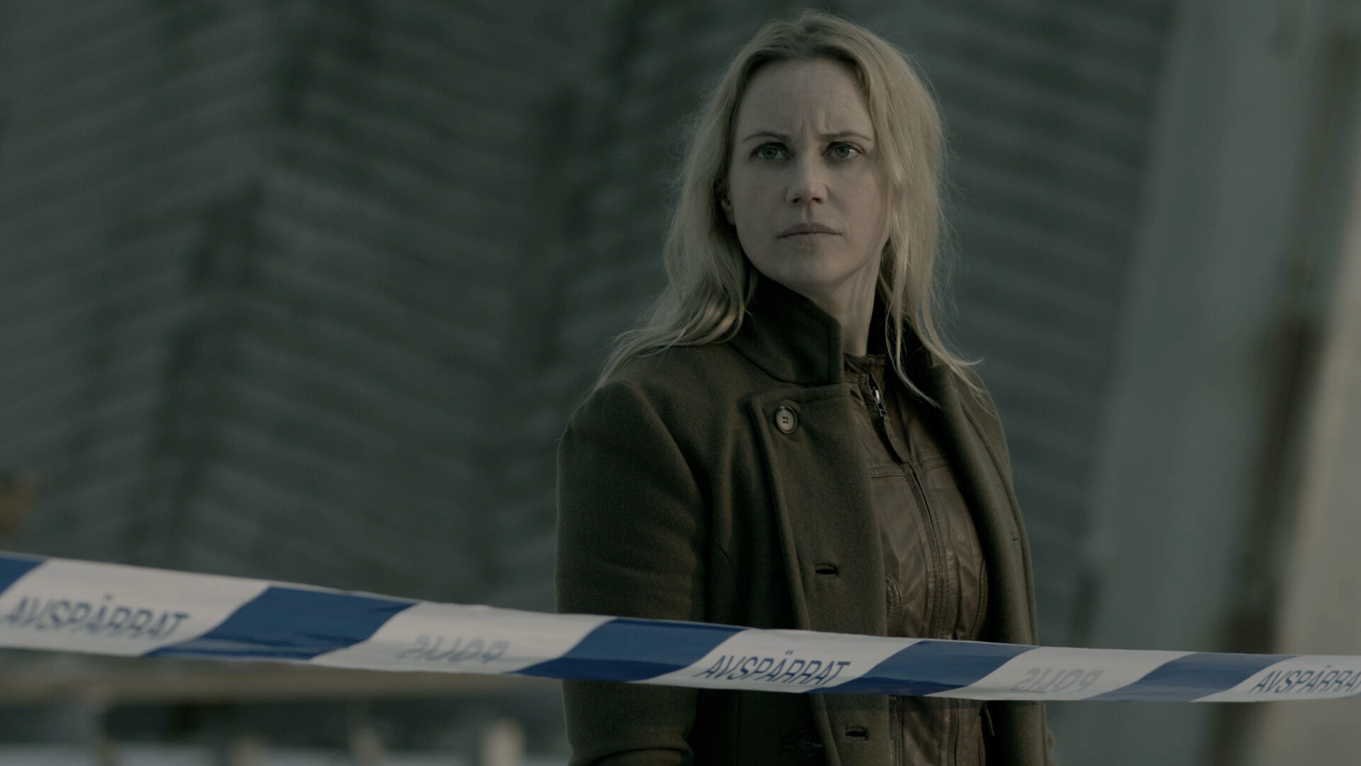 Essential Nordic Noir (2)