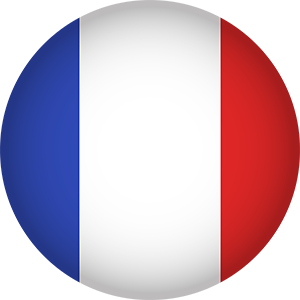 french flag round icon
